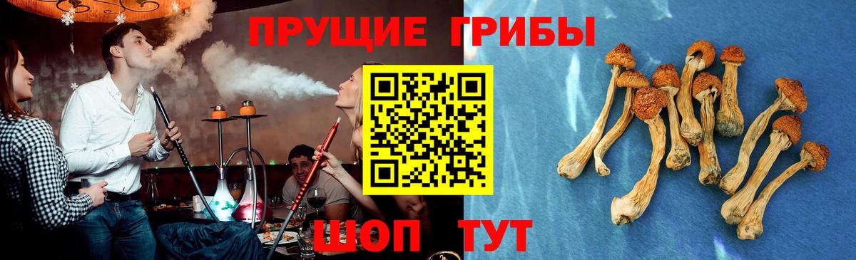 Саяногорск  Псилоцибиновые грибы Magic Shrooms  Псилоцибиновые грибы прущие грибы  Вход с VPN 